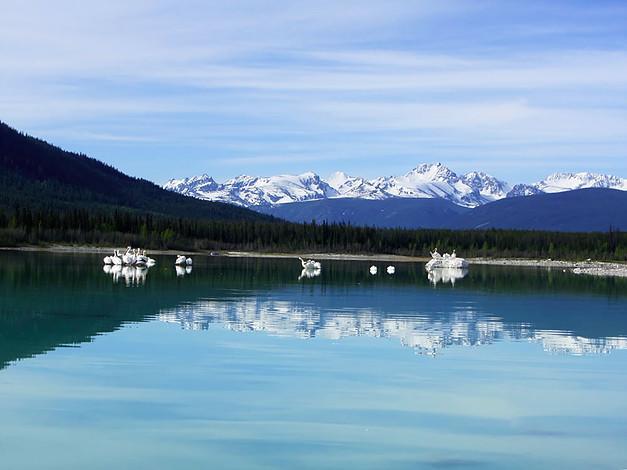 Eagle Bear Lodge Tatla Lake Esterno foto